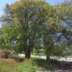 axiotheata_ainovia_dentra_2