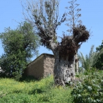 axiotheata_ainovia_dentra_5