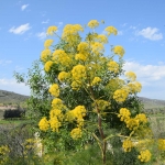 fysiko_perivallon_10