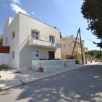 oikisiki_anaptiksi_1