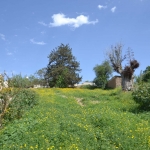 axiotheata_ainovia_dentra_3