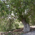 axiotheata_ainovia_dentra_1