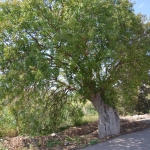 axiotheata_ainovia_dentra_4